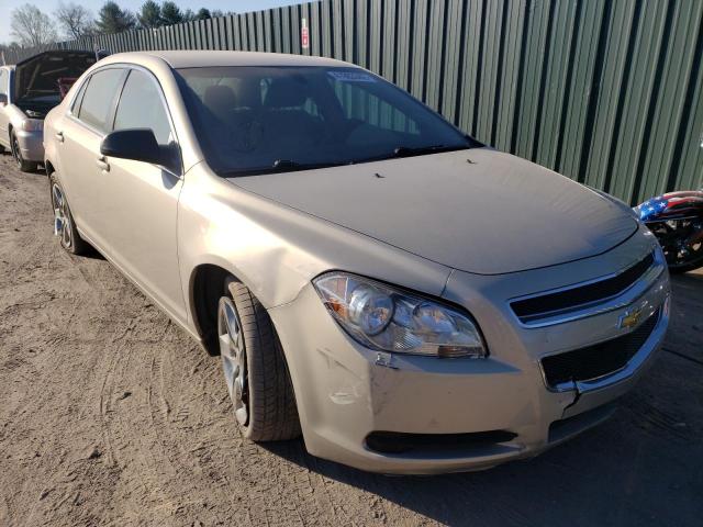 CHEVROLET MALIBU LS 2011 with VIN 1G1ZB5E18BF168509 - Photo from auction