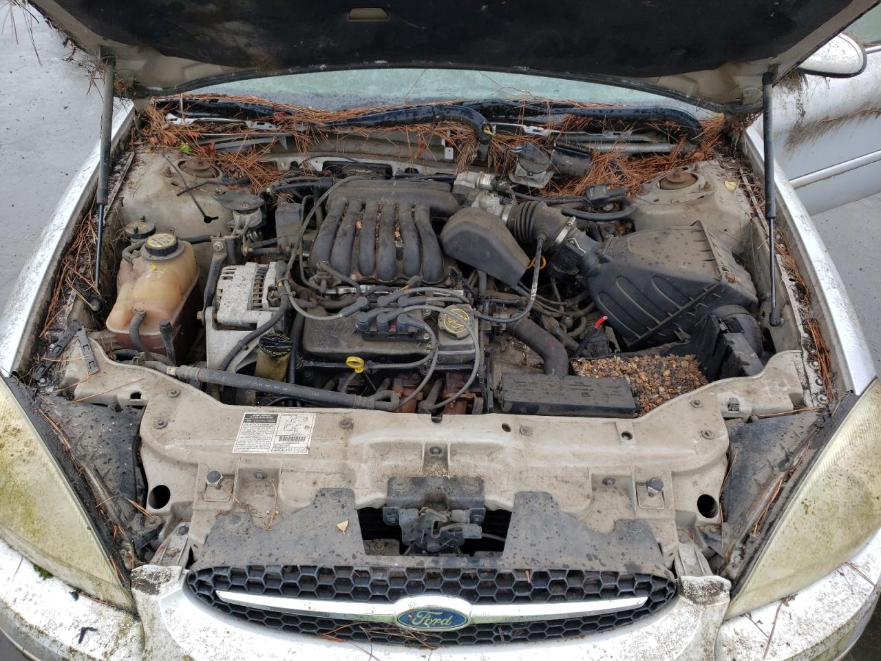 Photo 7 from auction – 2002 FORD TAURUS SE with VIN 1FAHP58U62G240897