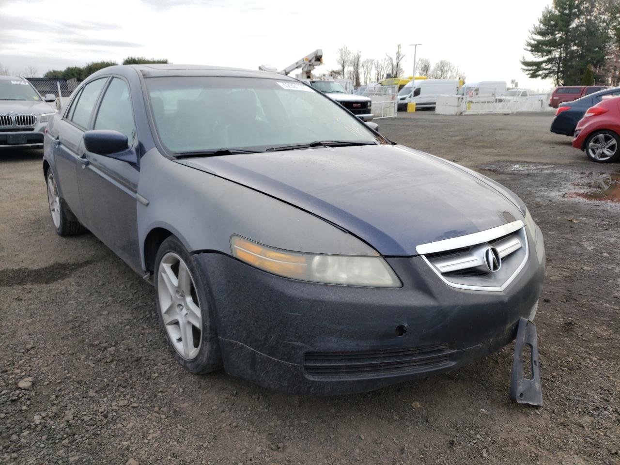 ACURA TL 2005 with VIN 19UUA66265A039141 - Photo from auction