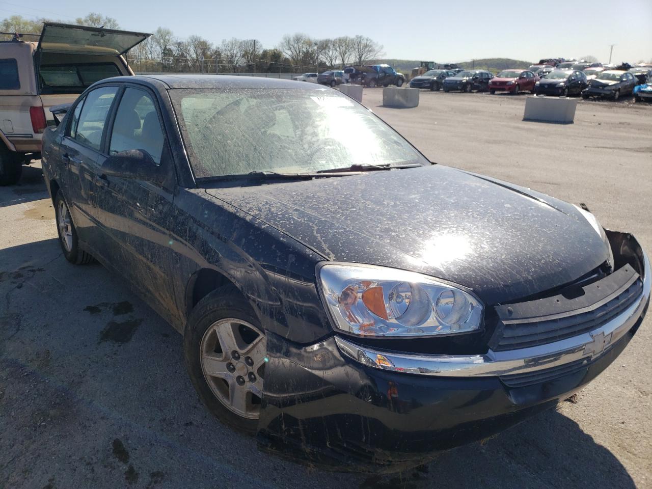 CHEVROLET MALIBU LS 2005 with VIN 1G1ZT54825F144304 - Photo from auction