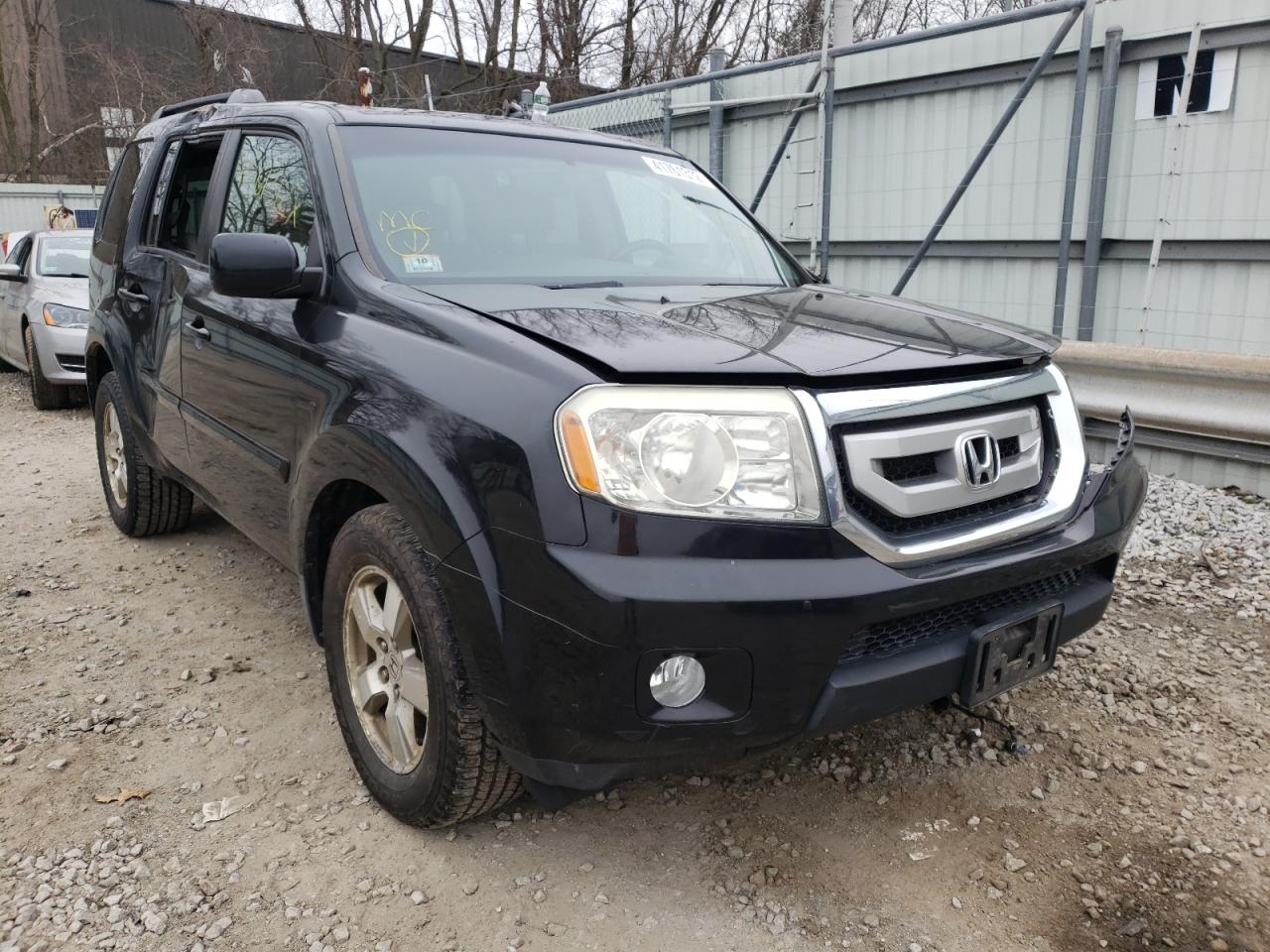 HONDA PILOT EXL 2009 with VIN 5FNYF48539B044534 - Photo from auction