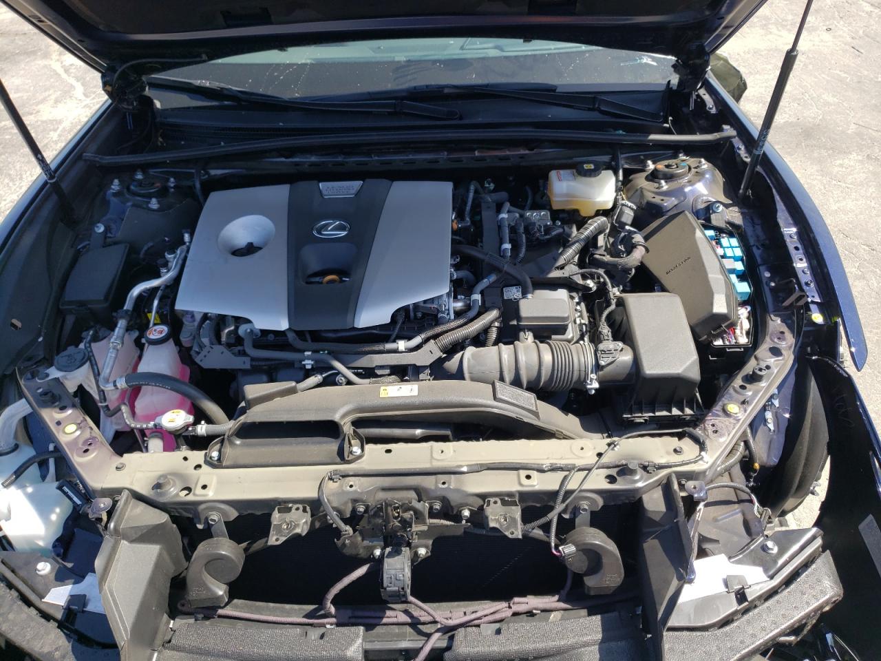Photo 7 from auction – 2020 LEXUS ES 300H with VIN 58AD21B1XLU012133