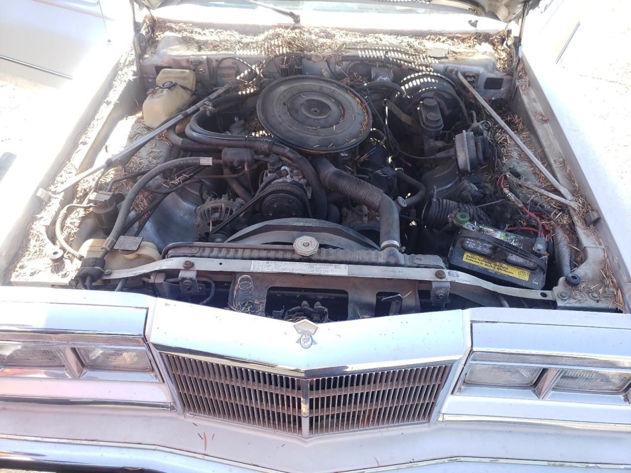Photo 7 from auction – 1986 CHRYSLER FIFTH AVEN with VIN 1C3BF66PXGX551329