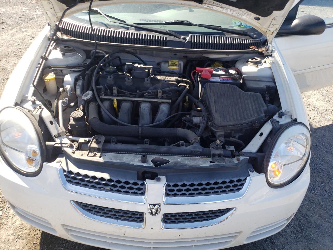 Photo 7 from auction – 2005 DODGE NEON SXT with VIN 1B3ES56CX5D289582