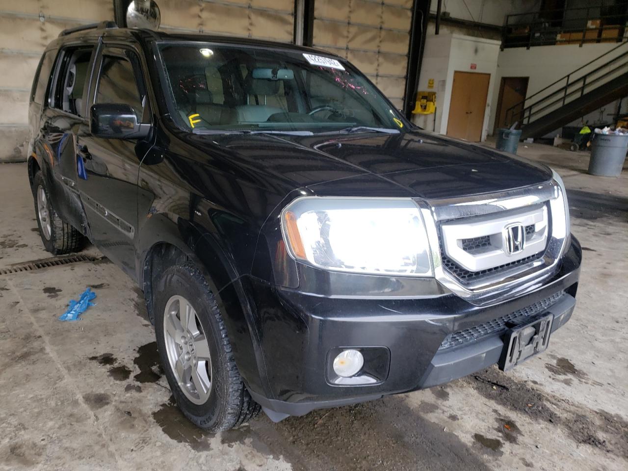 HONDA PILOT EXLN 2011 with VIN 5FNYF4H72BB010317 - Photo from auction