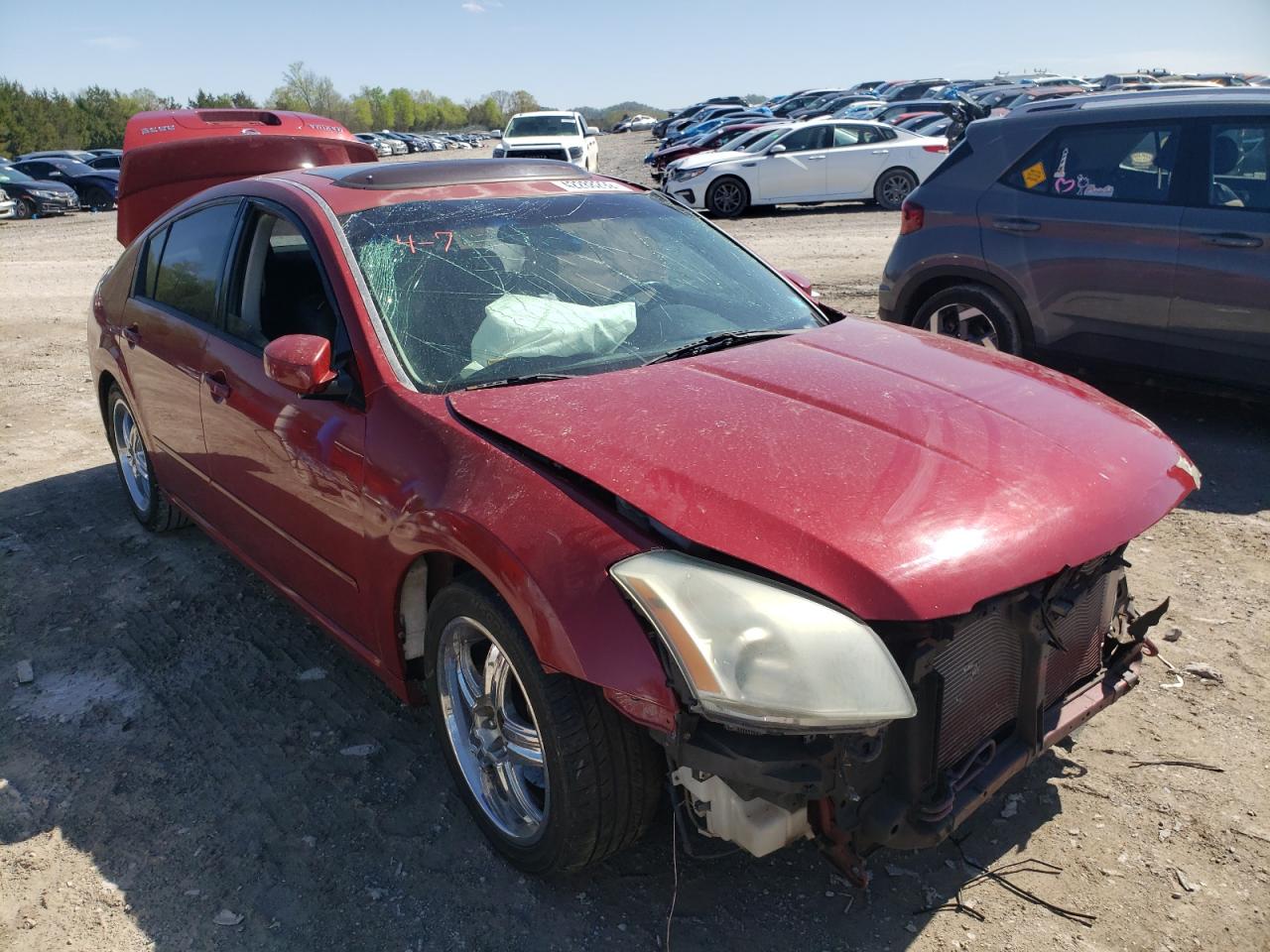 NISSAN MAXIMA SE 2007 z numerem VIN 1N4BA41E77C832778 - Zdjęcie z aukcji