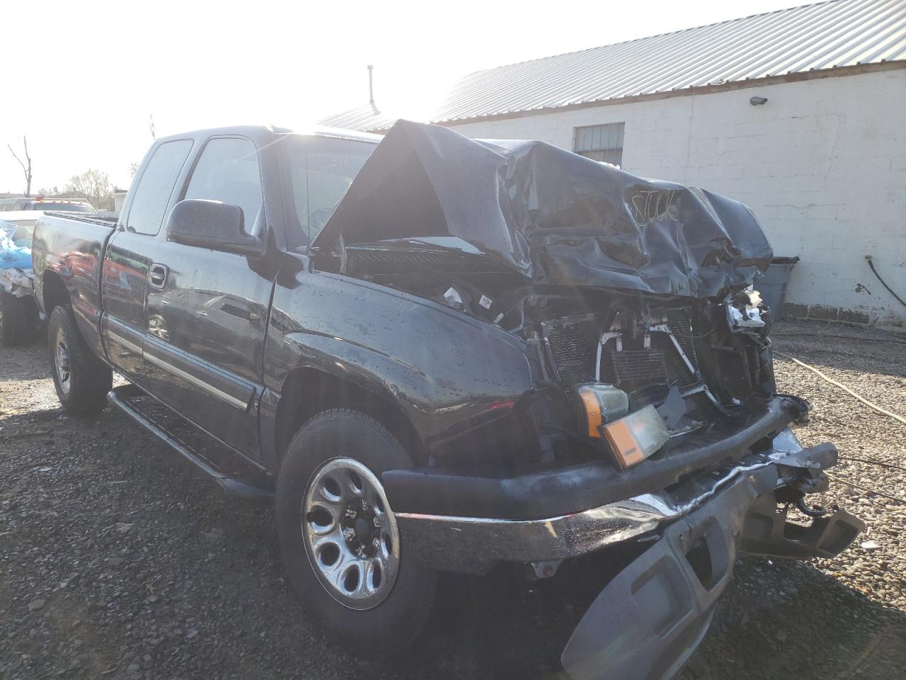 CHEVROLET SILVERADO 2005 with VIN 1GCEK19BX5E267375 - Photo from auction
