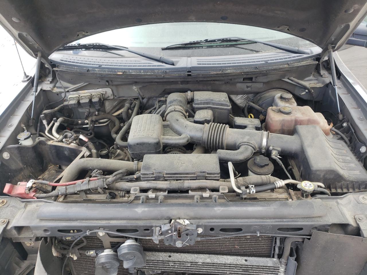 Photo 7 from auction – 2010 FORD F150 SUPER with VIN 1FTFW1CV2AFB14781