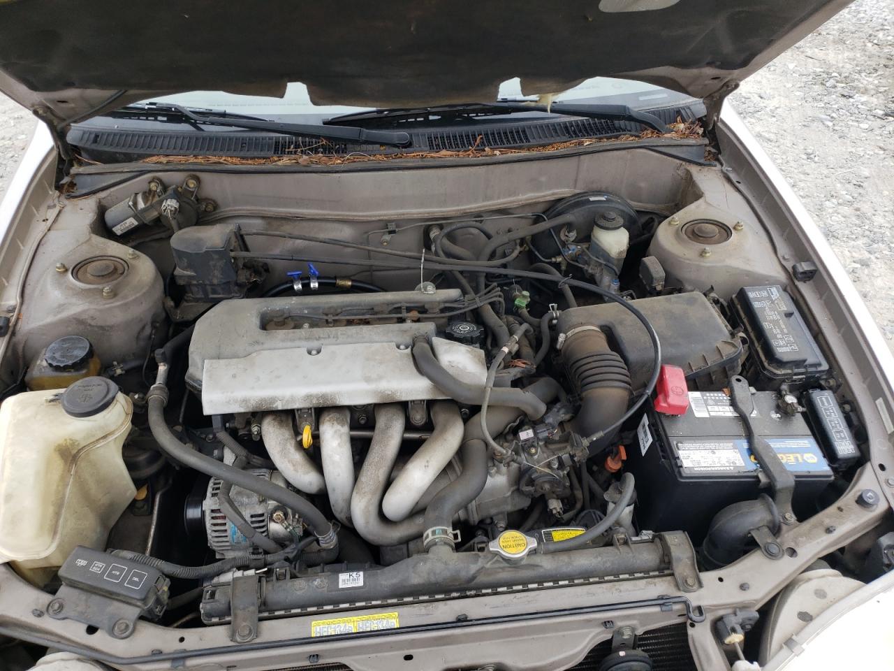 Photo 7 from auction – 1999 TOYOTA COROLLA VE with VIN 1NXBR12E7XZ280141