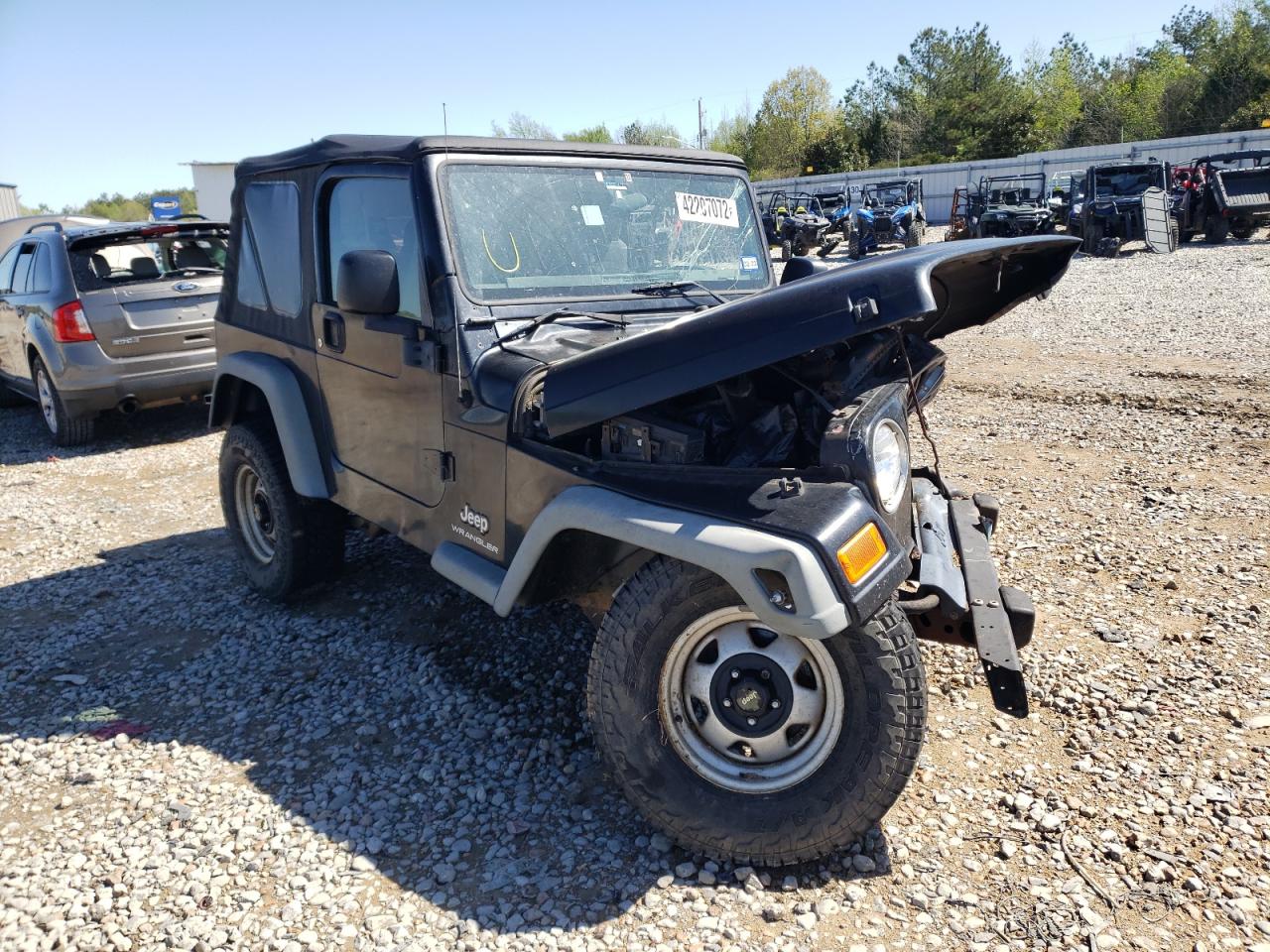 JEEP WRANGLER / 2003 with VIN 1J4FA29113P325339 - Photo from auction