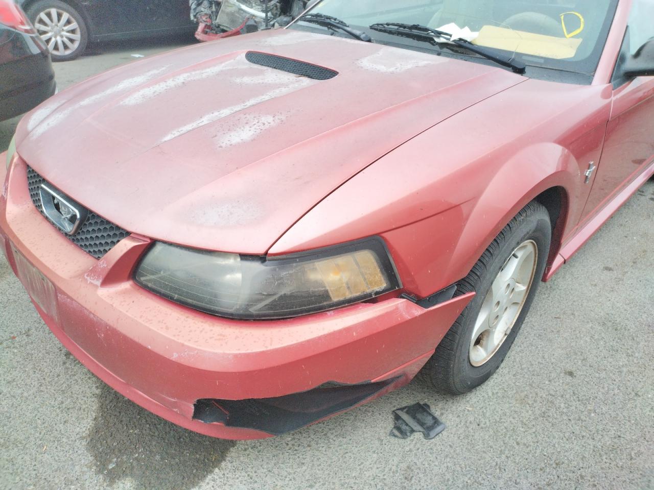 Фото 9 с аукциона – 2001 FORD MUSTANG с VIN 1FAFP44461F129648