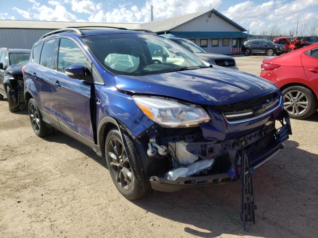 FORD ESCAPE SEL 2013 with VIN 1FMCU0HX8DUB31805 - Photo from auction