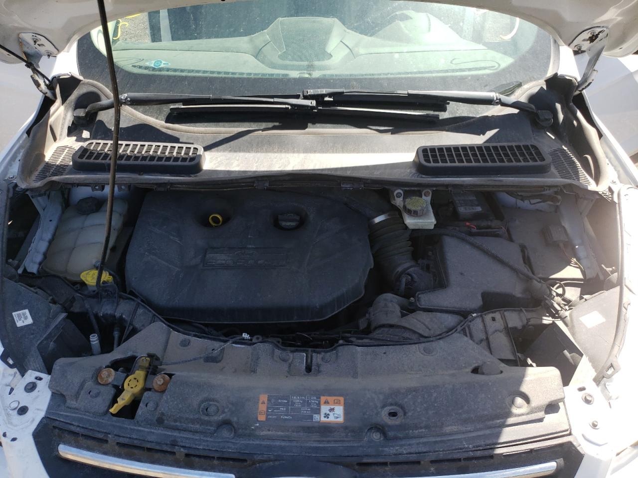Photo 7 from auction – 2014 FORD ESCAPE SE with VIN 1FMCU0G96EUB88900