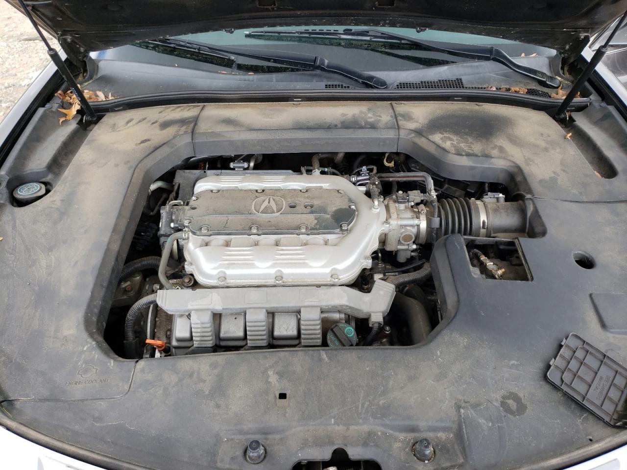 Photo 7 from auction – 2009 ACURA TL with VIN 19UUA86259A005502