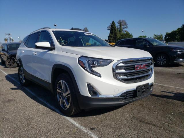 GMC TERRAIN SL 2020 with VIN 3GKALVEV4LL290610 - Photo from auction
