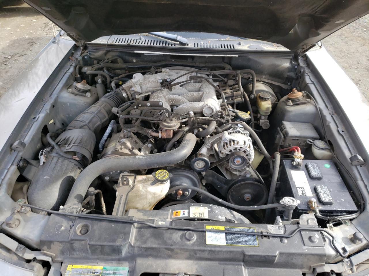 Photo 7 from auction – 2003 FORD MUSTANG with VIN 1FAFP40443F380550