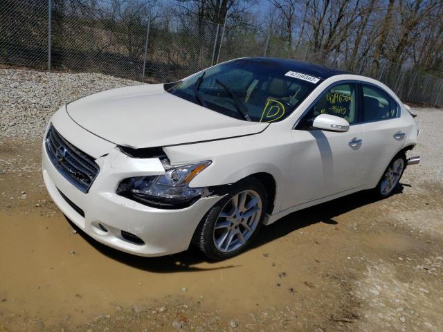 Photo 2 from auction – 2011 NISSAN MAXIMA S with VIN 1N4AA5AP8BC814804