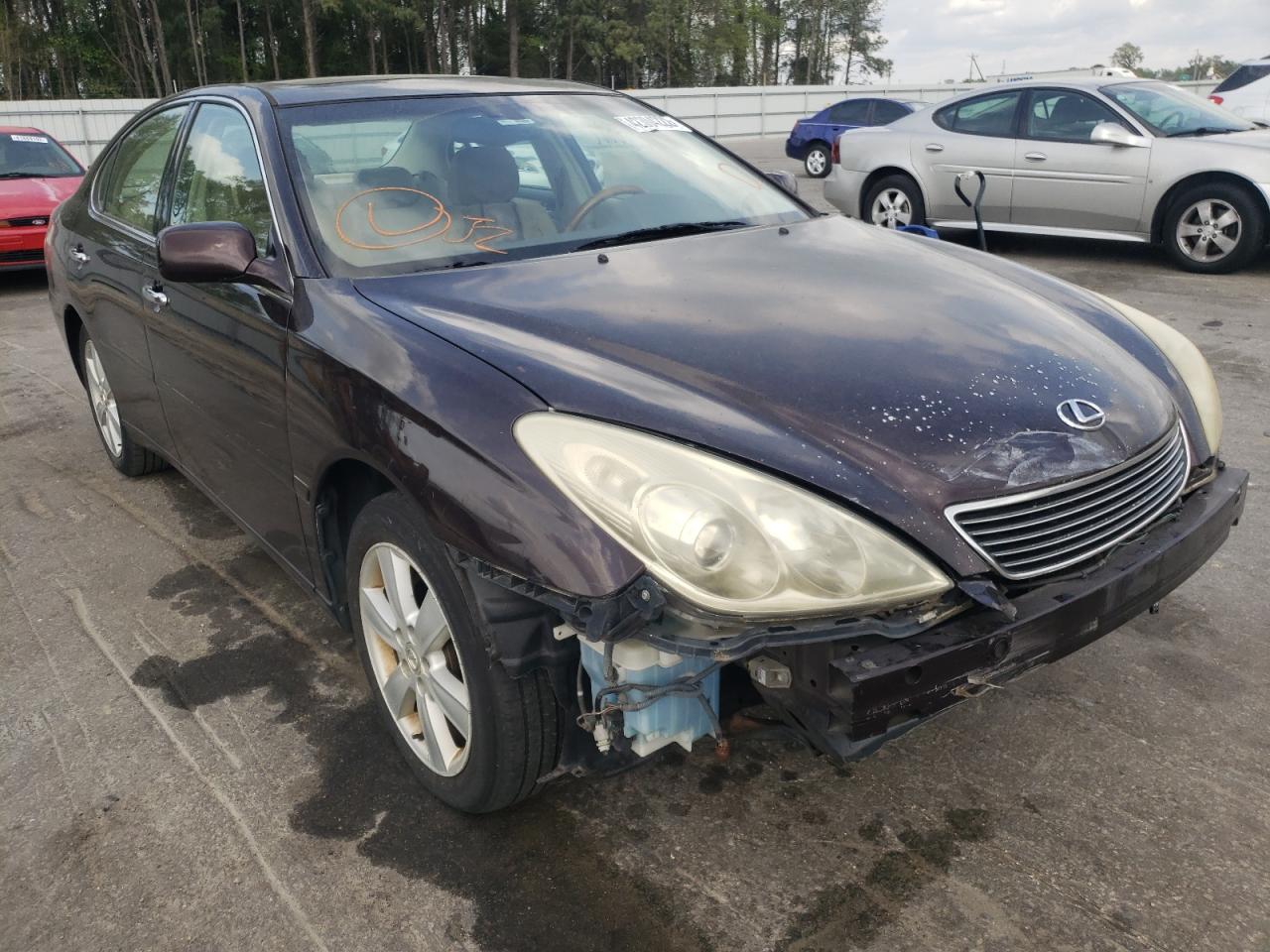 LEXUS ES 330 2005 with VIN JTHBA30GX55101656 - Photo from auction