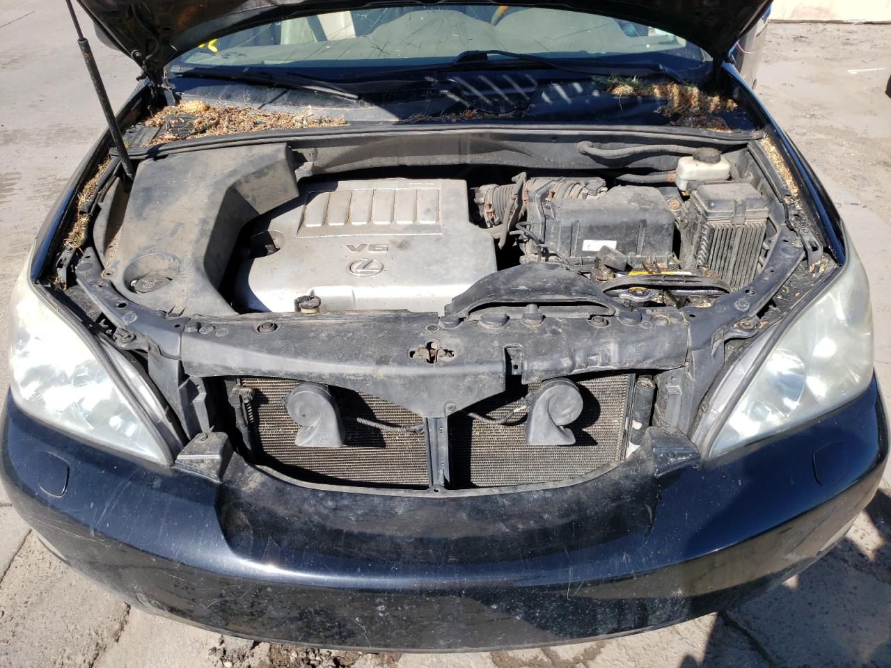 Photo 7 from auction – 2009 LEXUS RX 350 with VIN 2T2HK31U89C109269
