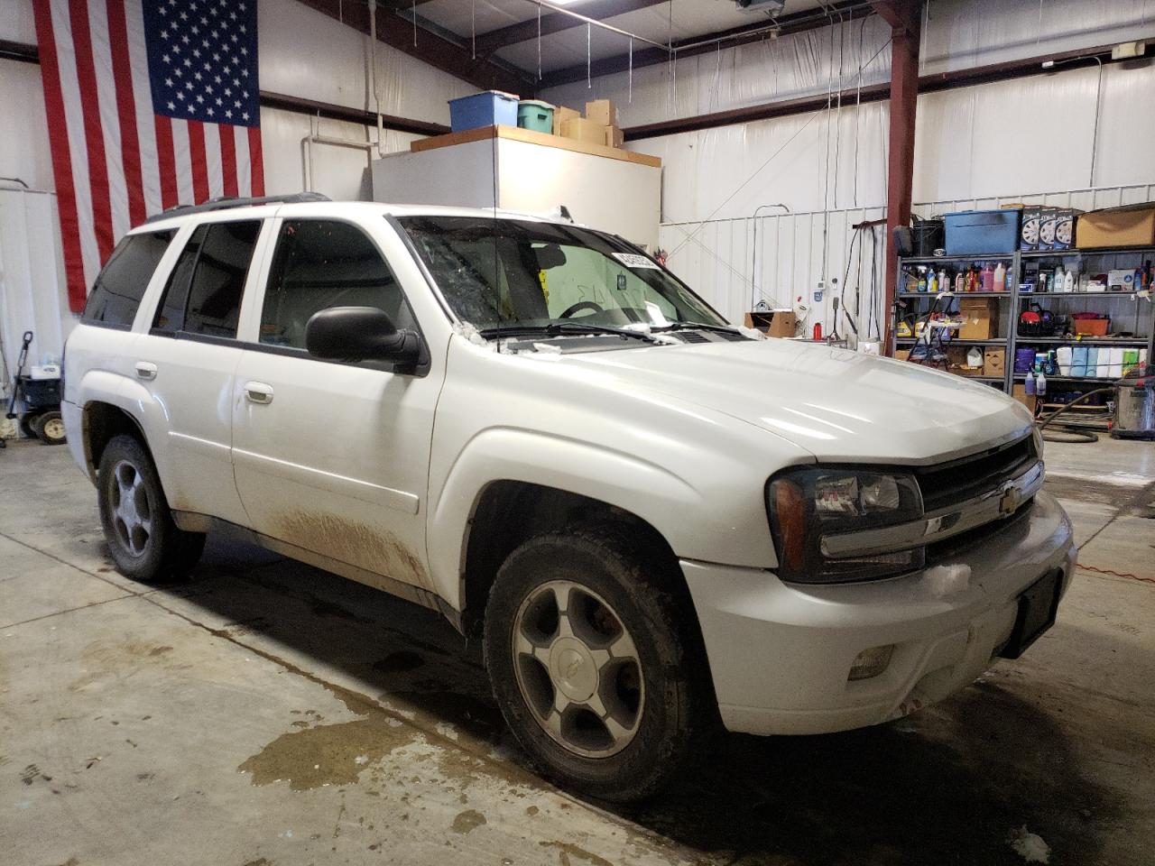 CHEVROLET TRAILBLAZE 2008 with VIN 1GNDT13S582146218 - Photo from auction