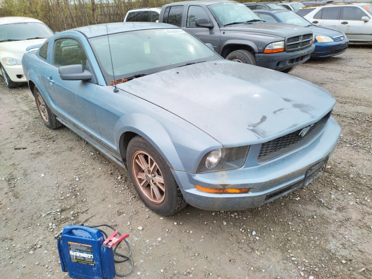 FORD MUSTANG 2005 with VIN 1ZVFT80N355145410 - Photo from auction