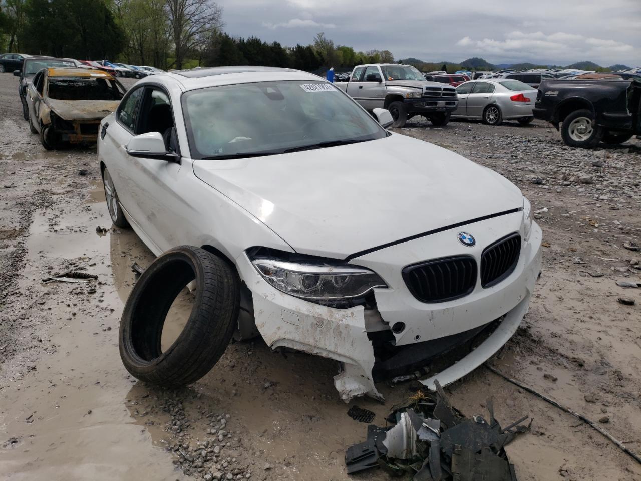 Photo 1 from auction – 2016 BMW 228 I SULE with VIN WBA1F9C56GV742623