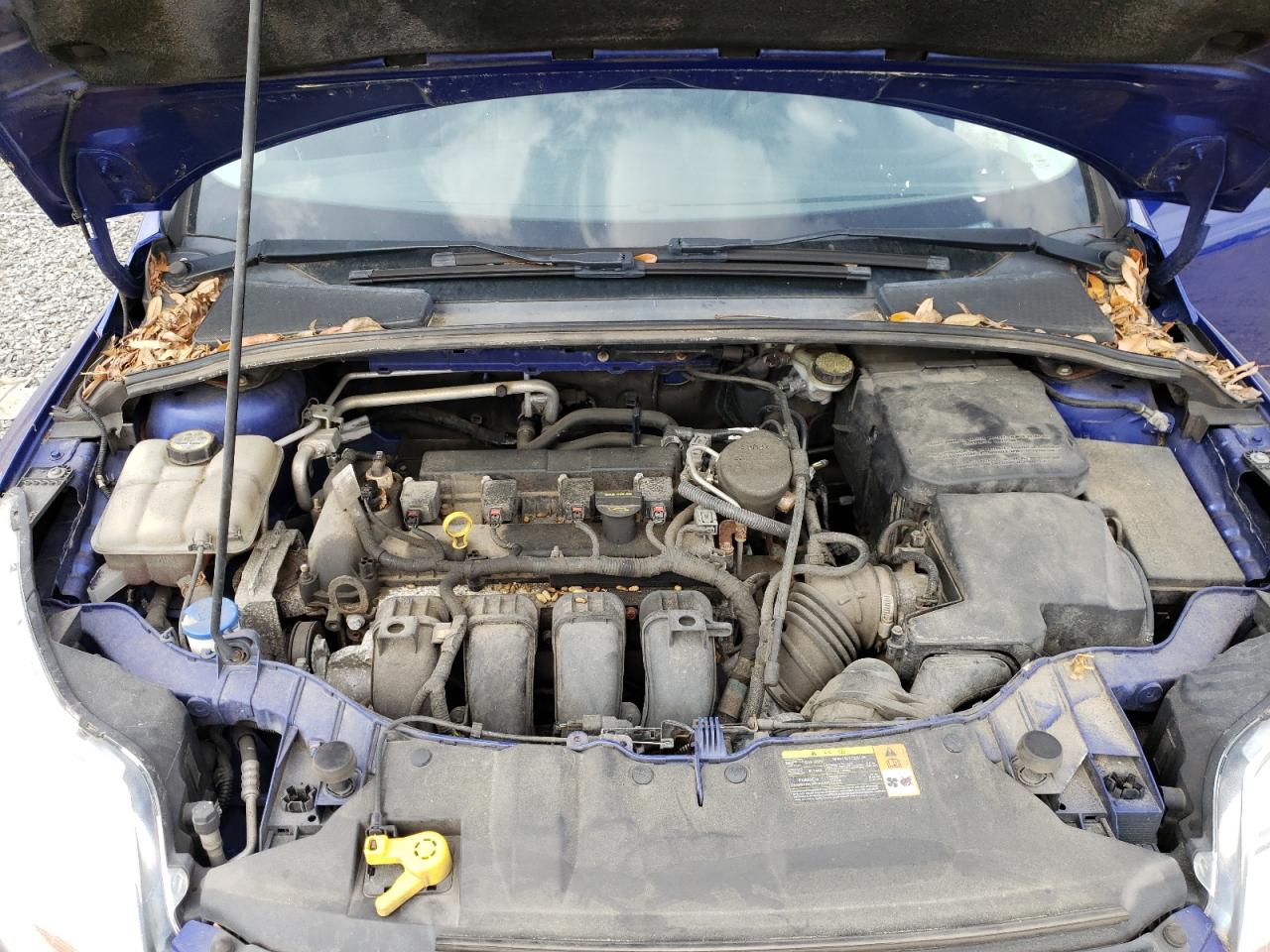 Photo 7 from auction – 2013 FORD FOCUS SE with VIN 1FADP3F29DL171539