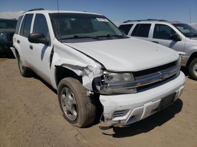 CHEVROLET TRAILBLAZE 2008 with VIN 1GNDT13SX82245309 - Photo from auction