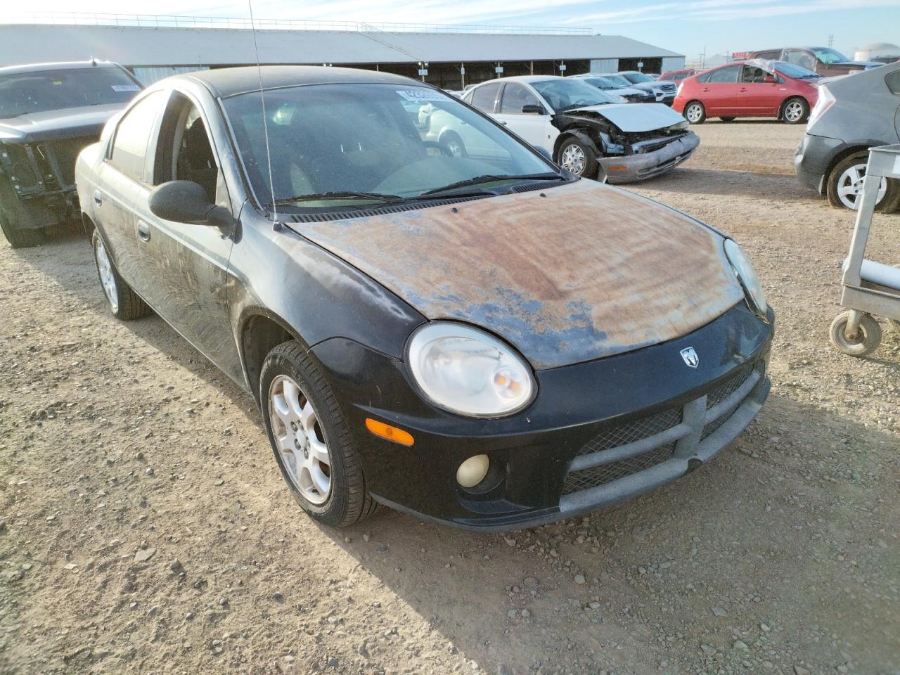 DODGE NEON SXT 2005 مع رقم تعريف المركبة 1B3ES56CX5D170320 - صورة من المزاد