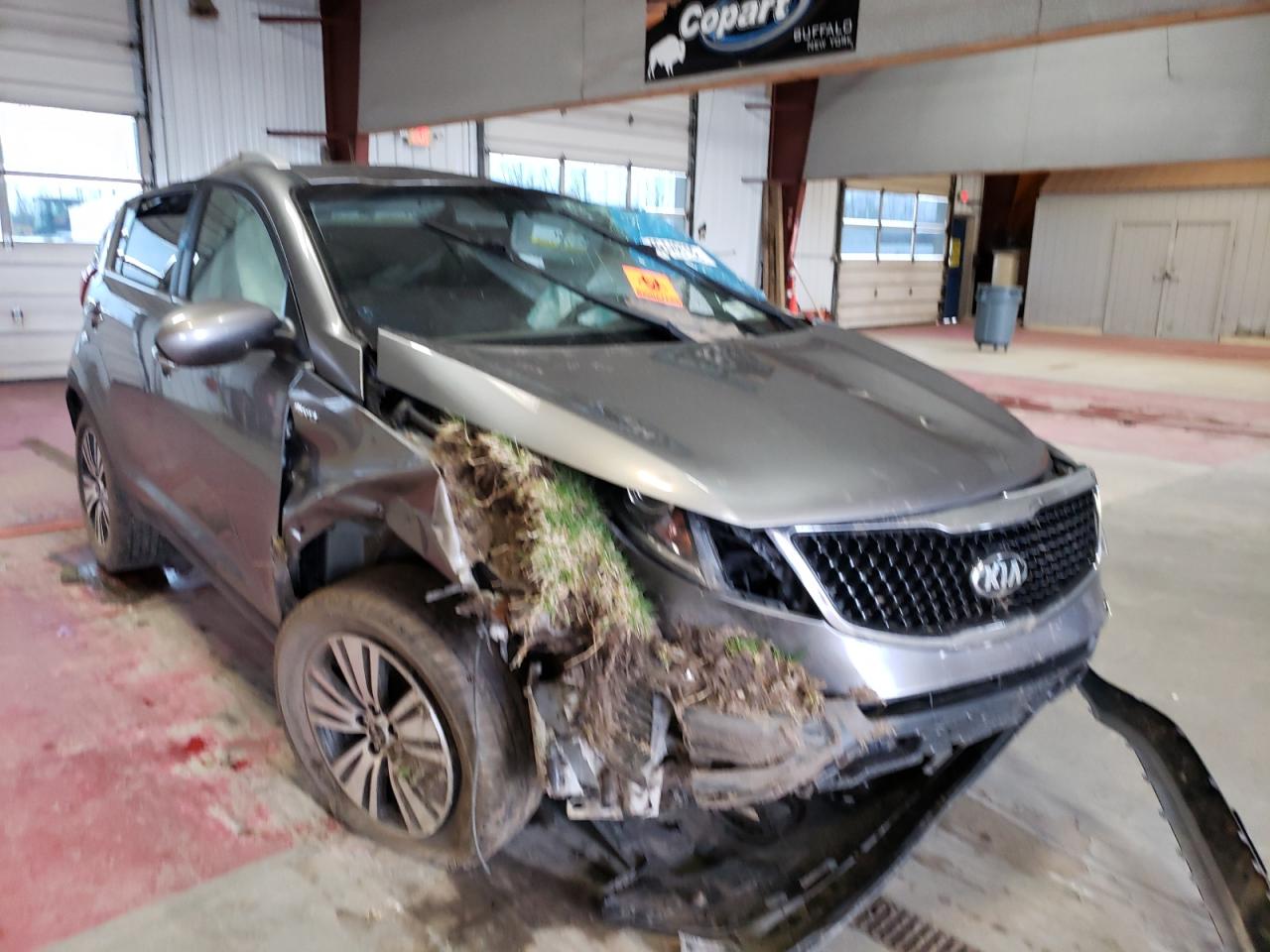Photo 9 from auction – 2016 KIA SPORTAGE E with VIN KNDPCCAC5G7816199