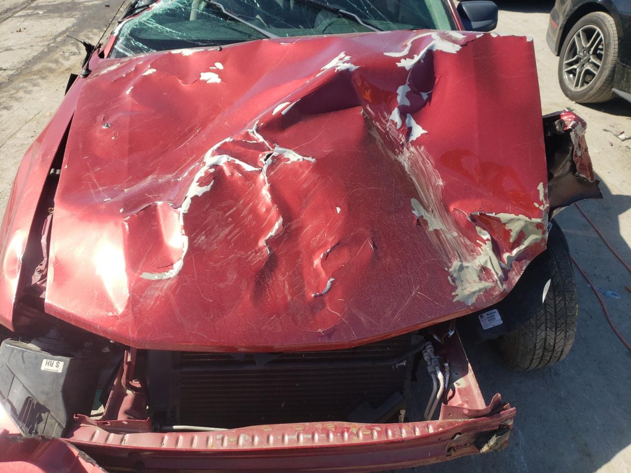 Photo 7 from auction – 2005 FORD MUSTANG with VIN 1ZVFT80N955128532