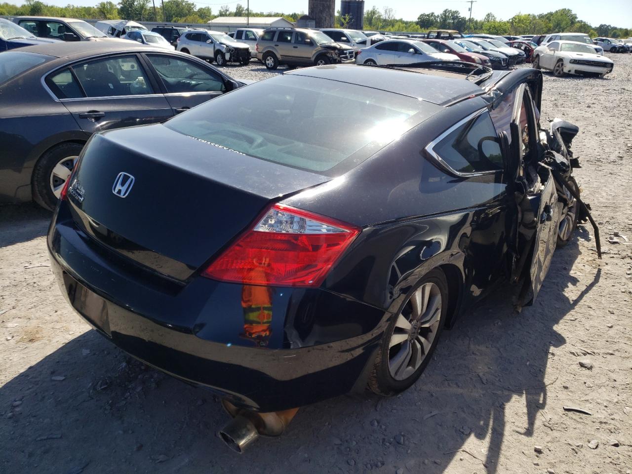 Photo 4 from auction – 2010 HONDA ACCORD EX with VIN 1HGCS1B74AA020420