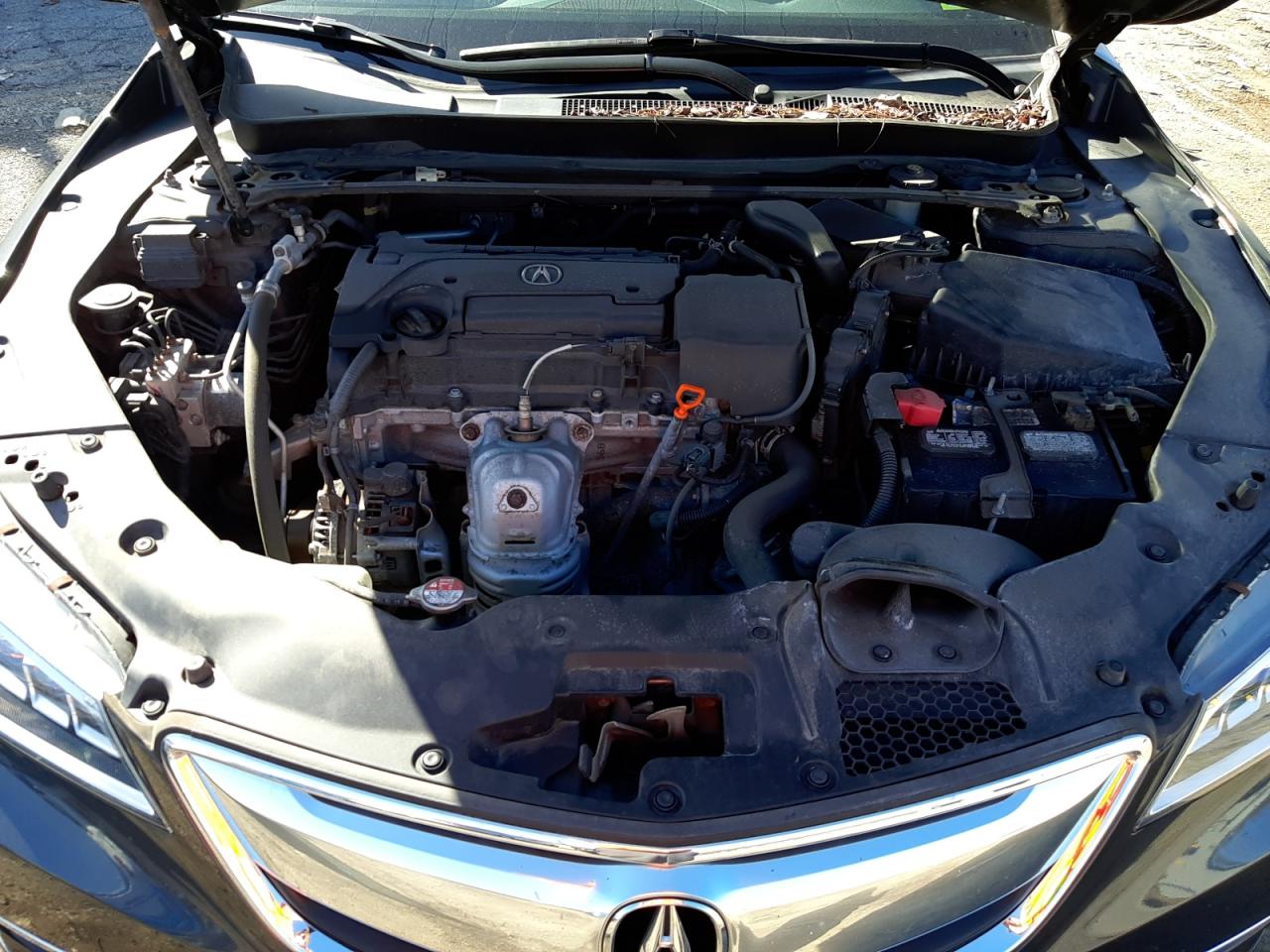 Photo 7 from auction – 2016 ACURA TLX with VIN 19UUB1F35GA009852