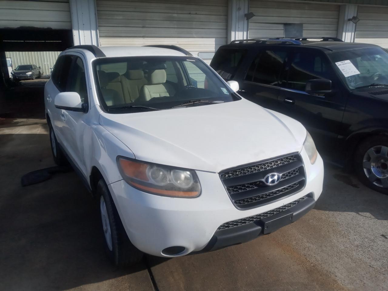 HYUNDAI SANTA FE G 2008 with VIN 5NMSG13D98H204087 - Photo from auction