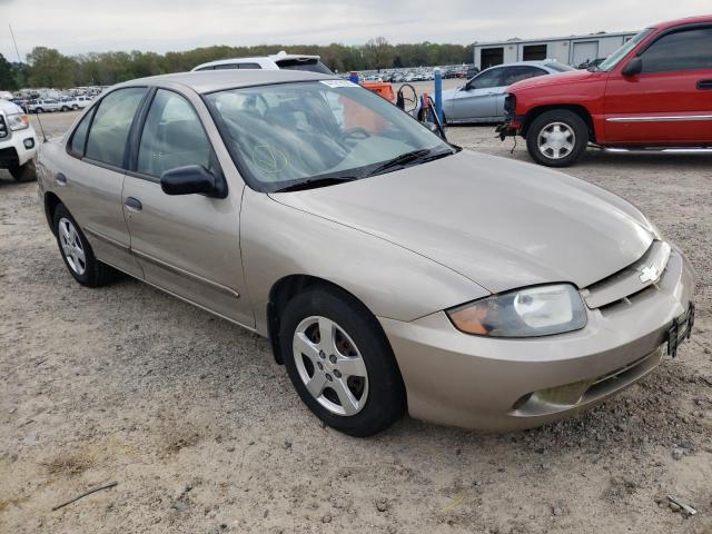 CHEVROLET CAVALIER L 2003 with VIN 1G1JF52F537262134 - Photo from auction