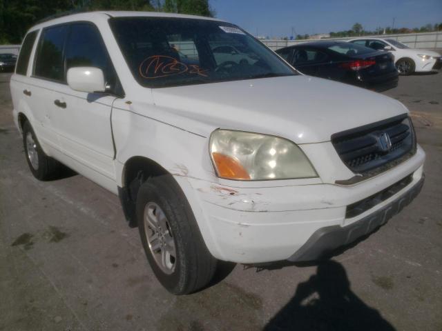 HONDA PILOT EX 2005 with VIN 2HKYF18475H517546 - Photo from auction