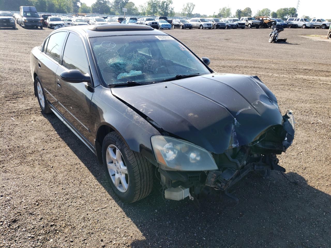 NISSAN ALTIMA S 2005 with VIN 1N4AL11D45C101413 - Photo from auction
