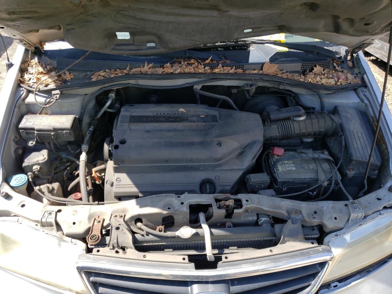 Photo 7 from auction – 2003 HONDA ODYSSEY EX with VIN 5FNRL18773B032424