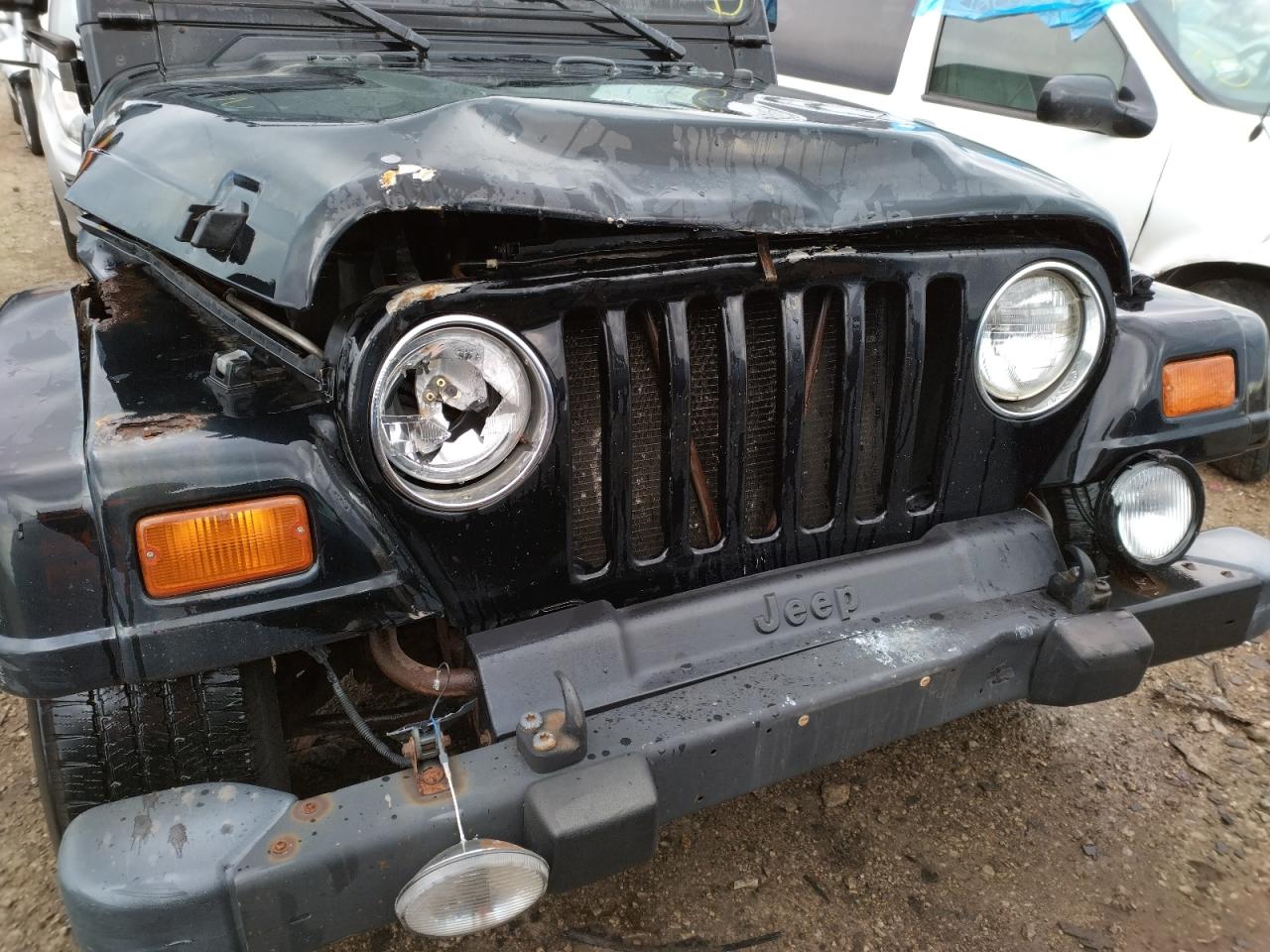Photo 9 from auction – 1999 JEEP WRANGLER / with VIN 1J4FY49S9XP415618