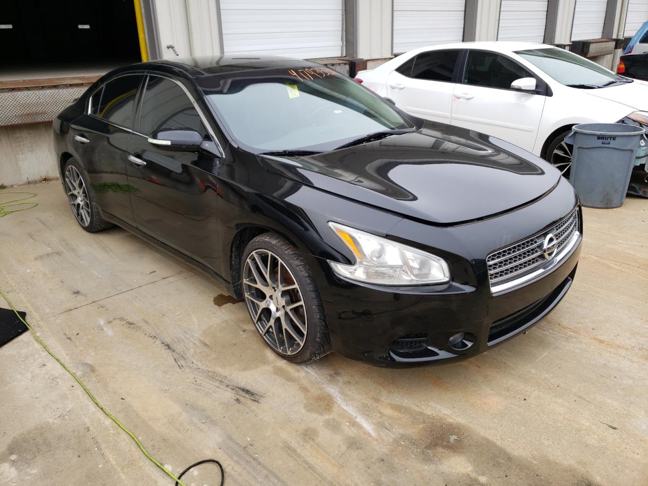 NISSAN MAXIMA S 2009 with VIN 1N4AA51E29C859729 - Photo from auction