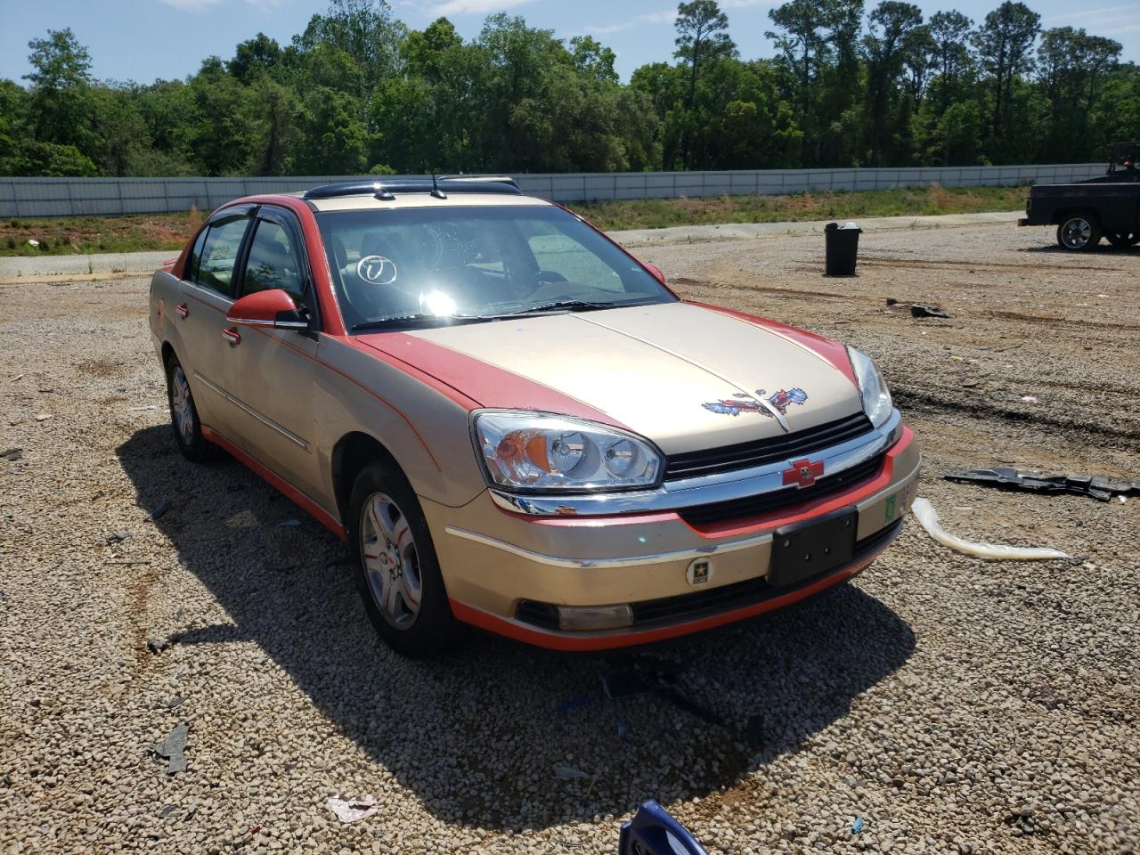CHEVROLET MALIBU LT 2004 with VIN 1G1ZU54864F131910 - Photo from auction