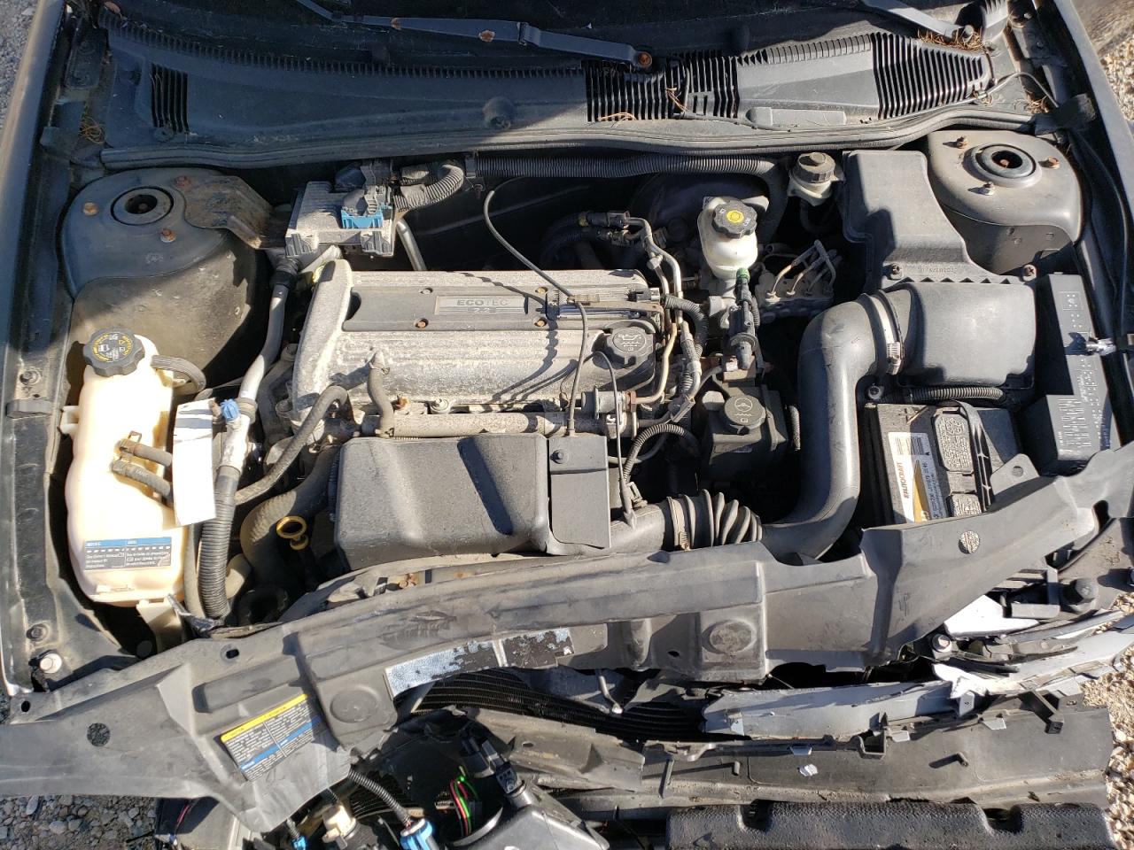 Photo 7 from auction – 2004 CHEVROLET CAVALIER with VIN 1G1JC12F647204584