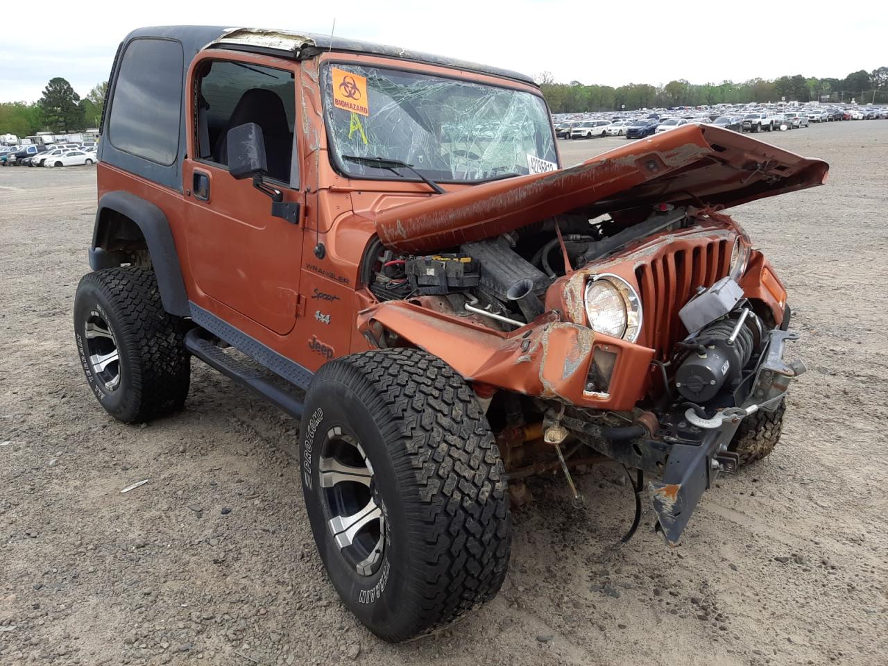 JEEP WRANGLER / 2002 with VIN 1J4FA49S52P716741 - Photo from auction