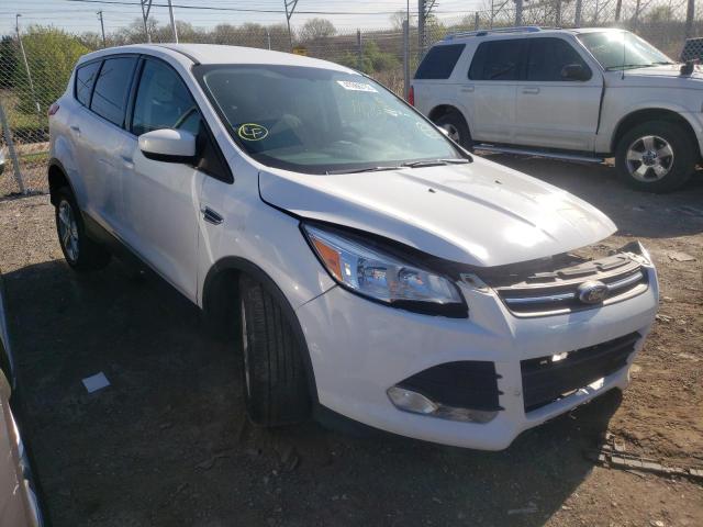 Photo 1 from auction – 2016 FORD ESCAPE SE with VIN 1FMCU0GX5GUB20508