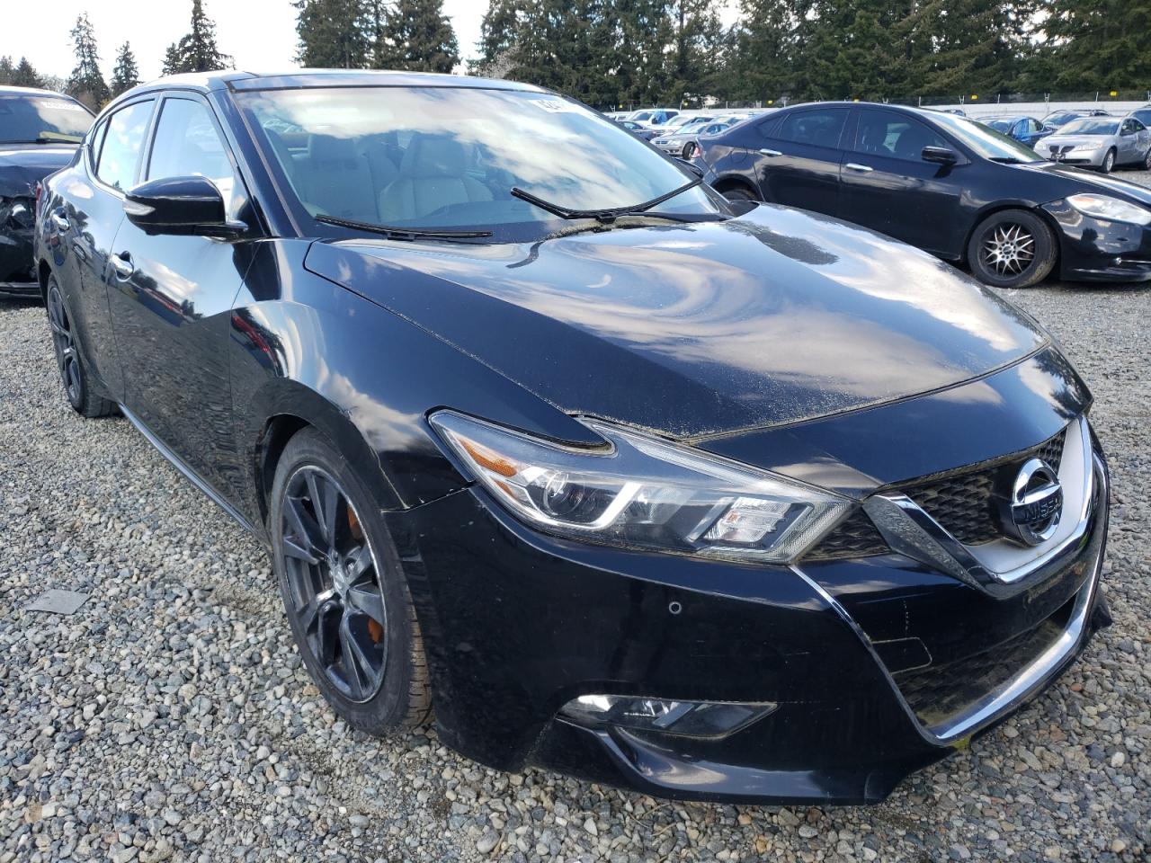 NISSAN MAXIMA 3.5 2017 with VIN 1N4AA6AP5HC394661 - Photo from auction