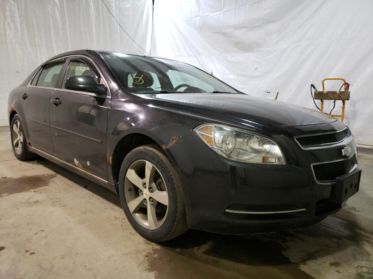 CHEVROLET MALIBU 1LT 2011 with VIN 1G1ZC5E19BF184313 - Photo from auction