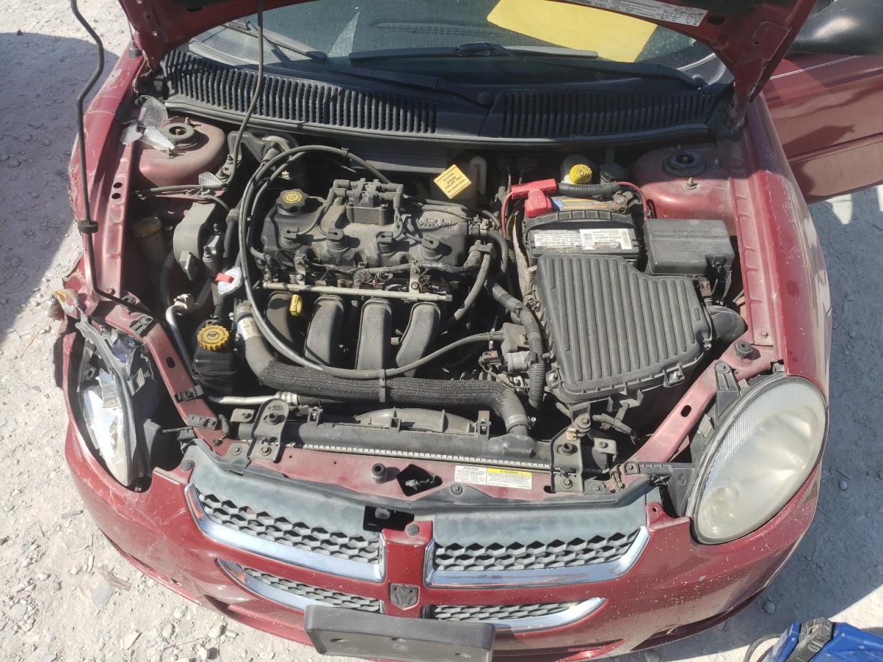Фото 7 с аукциона – 2004 DODGE NEON SXT с VIN 1B3ES56C34D510311