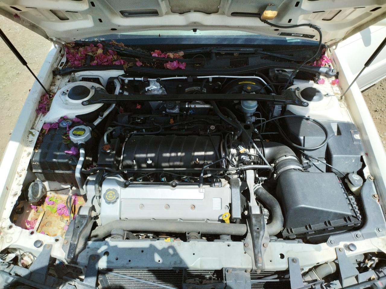 Photo 7 from auction – 2002 CADILLAC ELDORADO C with VIN 1G6EC12932B105995