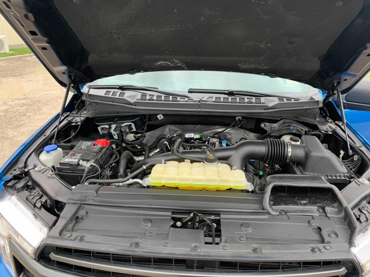 Photo 7 from auction – 2019 FORD F150 SUPER with VIN 1FTEW1EP0KKF24983
