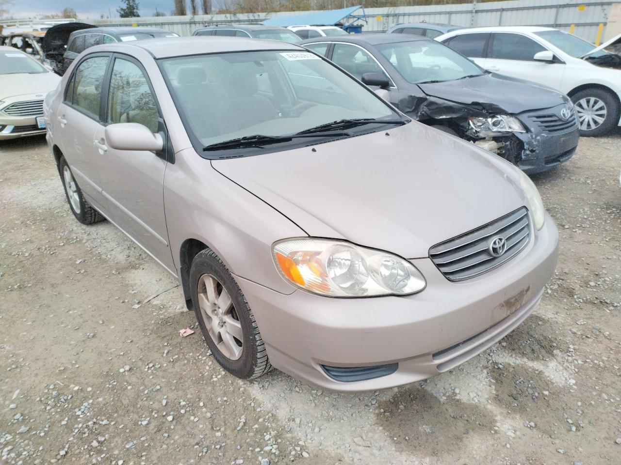 TOYOTA COROLLA CE 2003 with VIN 2T1BR32E83C700304 - Photo from auction